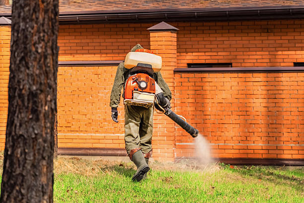 Trusted Bed Bug Control service in Mountain Brook, AL - Nex Pest Control